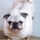 E80015f42aaeb490_s