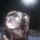 1964a08f9ef382c4_s