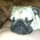 Eface855c67b2bca_s