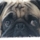 2c083cb8c3d44fb6_s
