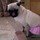 1141ebcf2c8a4b677a562aef_s