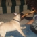 900361bd4f980651_st