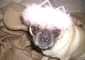 Ae3d48055b43fb13_sm