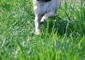 2b60a3023999fd93_sm