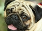2cbf0bf48a23b903_s