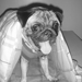 3e7b04380bff7284_sq