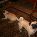 61848a38b2c85725_sq