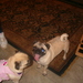 A929f4020b4de64f_sq