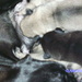 8d2038358cda67b9_sq