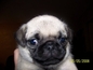 0f8fa4be295b1fb9_s