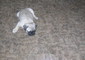 F5d4097bed15ecba_sm