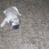 F5d4097bed15ecba_st