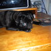 F077caa6602beb1f_sq