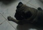 D8ae6122922daeb9_sm