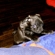 D6a13369157_st