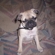 Bb5b2b5f52245562_st
