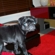 02d5d44896ebebb1_st