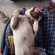 94c4392dad6ddc8c_st