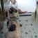 70ee9983199_st