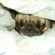 1f1088ced32d8fcb_st
