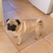 650b4435213_sq