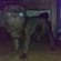 Dc63e99cad2d23e5_st