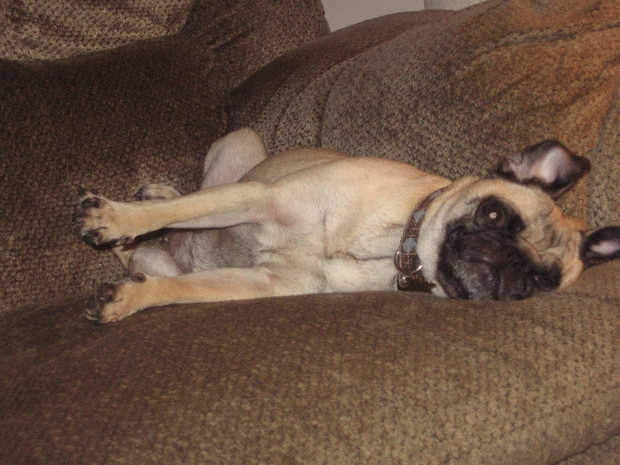 5be04be2645a1429_xl