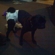 Aa3e594f39fa376e_st