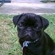 B5037abbe48fecbd_st