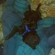 01936c3ba689efa2_st