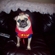 9406bddff62ae2d7_st