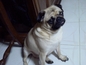 210fb4ab270_s