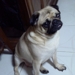 210fb4ab270_sq
