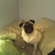 F41d65b4820d2baa_st