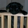 98729d3db5fbb247_st