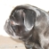 30d0762478ff2615_st