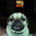 4150b247335_sq