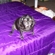 B219b490356_st