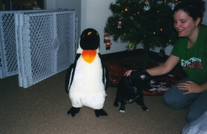 F3f37aee366_l