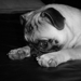 93ca2984389_sq