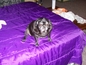 7d718a01396_s