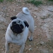 Eb0d7832424_sq