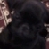 4d841123437_st