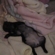 C6ced782444_st