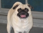 9ac8281e452_s