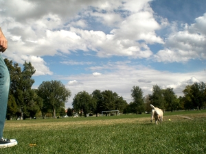 22a7dd43453_l
