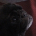 992cbb05495_sq