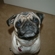Bb819d0806a48752_st