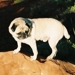 9c436673533_sq