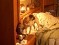 4d0544e6572_s